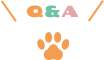 Q&A